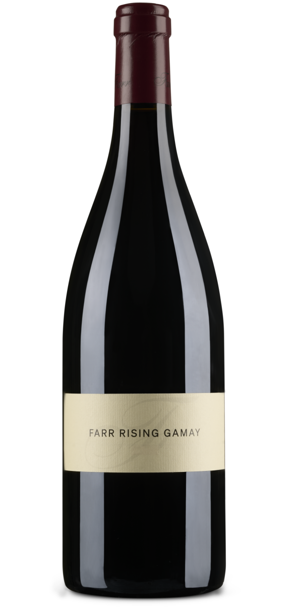 Gamay